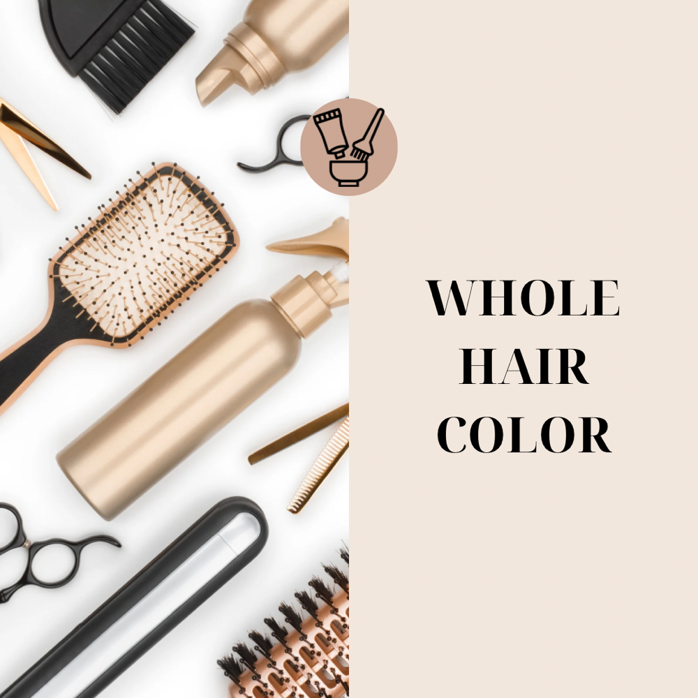 Whole Hair Color + Blow Out